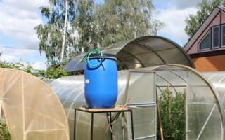 Gör-det-själv droppbevattning i växthuset och trädgården