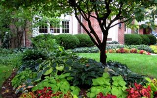 Making a flowerbed near the house with your own hands Designing a flowerbed in a private house