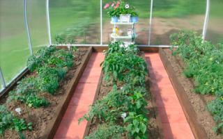How to make a polycarbonate greenhouse Do-it-yourself greenhouse manufacturing drawings