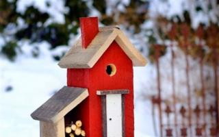 How to make a beautiful birdhouse with your own hands from scrap materials for starlings and different types of birds for kindergarten, school, dacha, competition correctly: drawings, sizes, templates, step-by-step instructions, photos